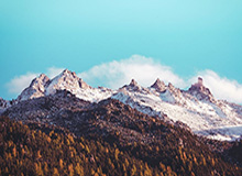 差点扩大比分！卡多索小禁区线上得球打门，侯森近距离救险